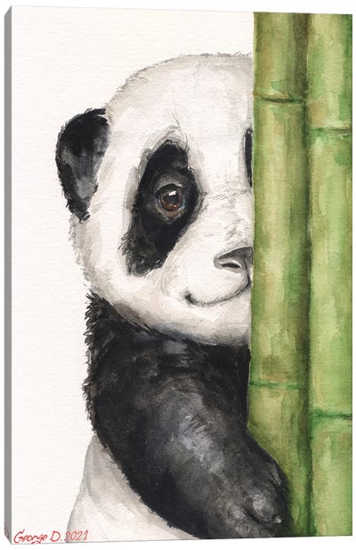 Little Panda I Canvas Art Print - George Dyachenko
