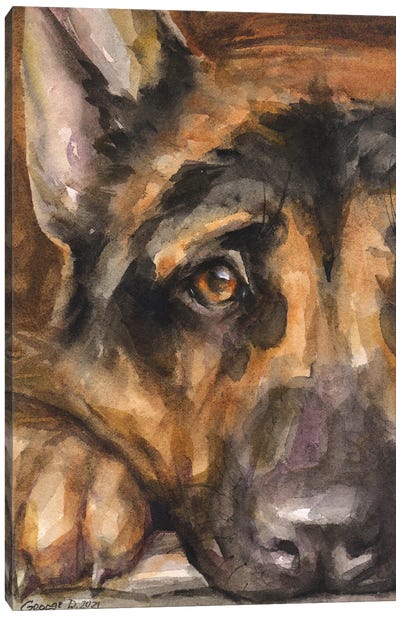 German Shepherd Sight Canvas Art Print - George Dyachenko