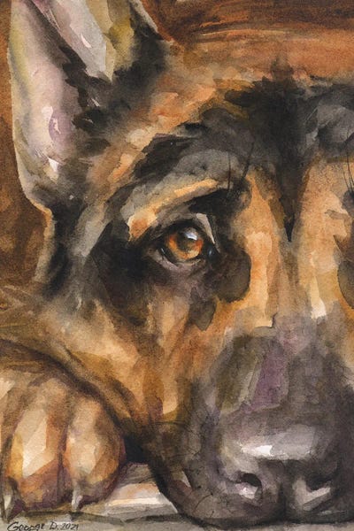 German Shepherds: German Shepherd Sight by George Dyachenko