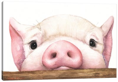Piglet With Wood Fence Canvas Art Print - George Dyachenko
