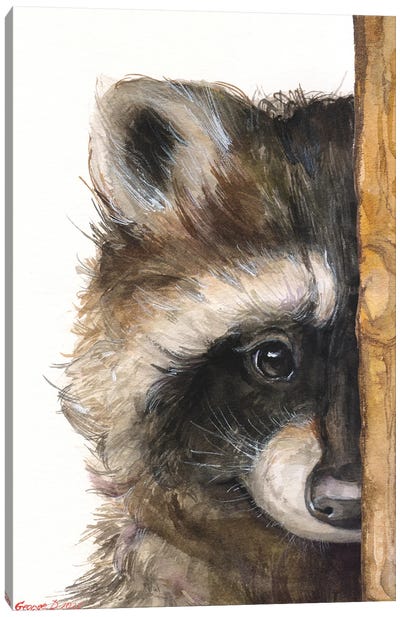 Raccoon With Wood Fence Canvas Art Print - George Dyachenko