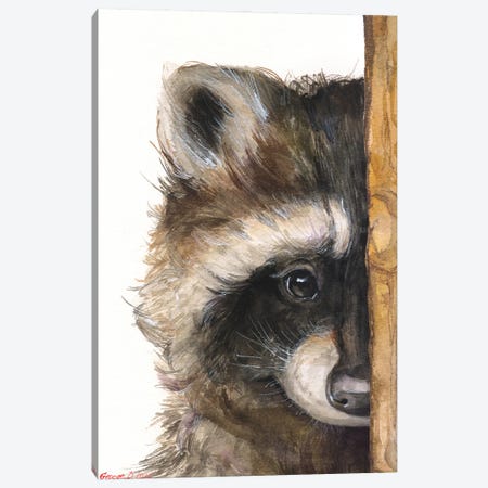 Raccoon With Wood Fence Canvas Print #GDY317} by George Dyachenko Canvas Print