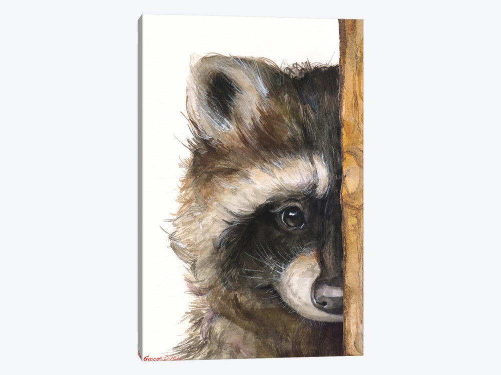 Raccoon With Wood Fence by George Dyachenko 1-piece Canvas Art
