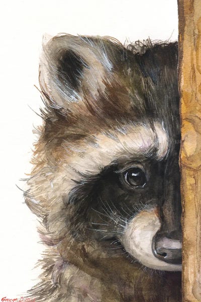 Raccoons: Raccoon With Wood Fence by George Dyachenko