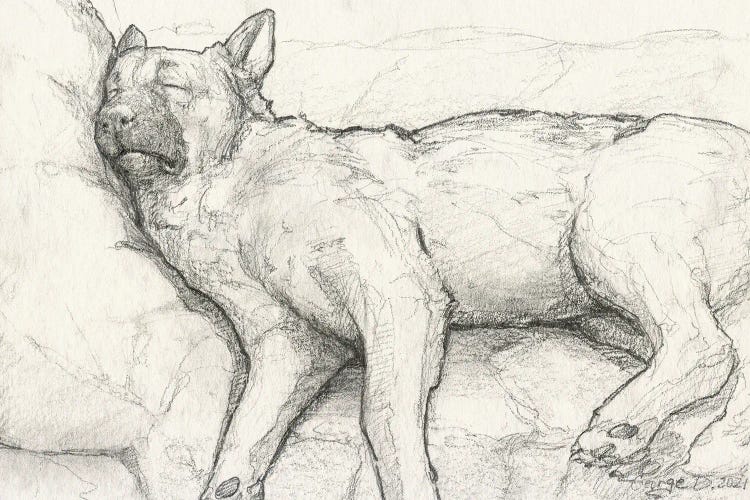 Sleeping German Shepherd II Old Paper