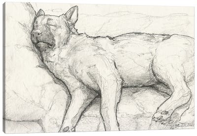 Sleeping German Shepherd II Old Paper Canvas Art Print - George Dyachenko
