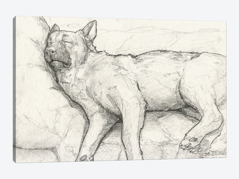 Sleeping German Shepherd II Old Paper by George Dyachenko 1-piece Canvas Print