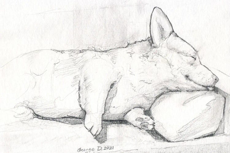 Sleeping Corgi by George Dyachenko wall art