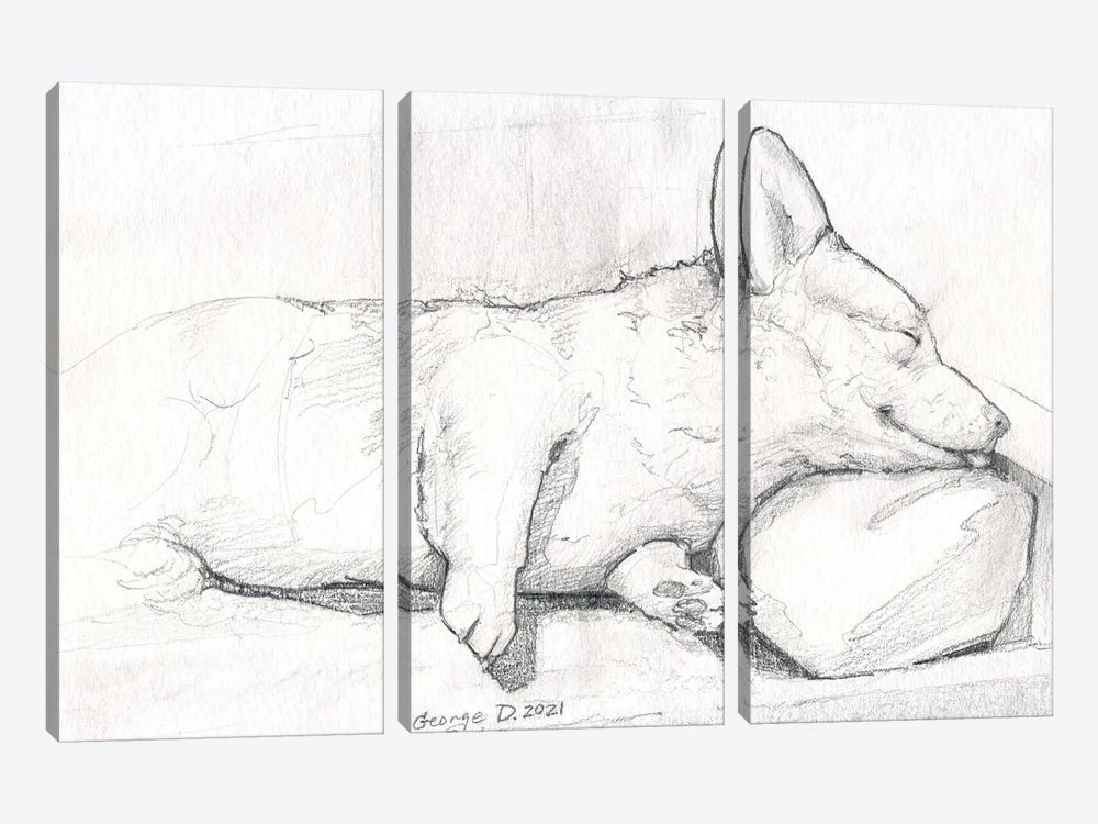 Sleeping Corgi by George Dyachenko 3-piece Art Print