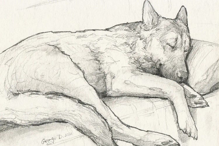 Sleeping German Shepherd Old Paper