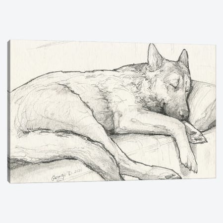 Sleeping German Shepherd Old Paper Canvas Print #GDY324} by George Dyachenko Canvas Artwork