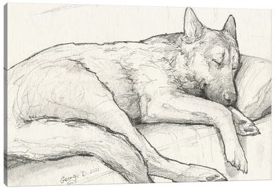 Sleeping German Shepherd Old Paper Canvas Art Print - George Dyachenko