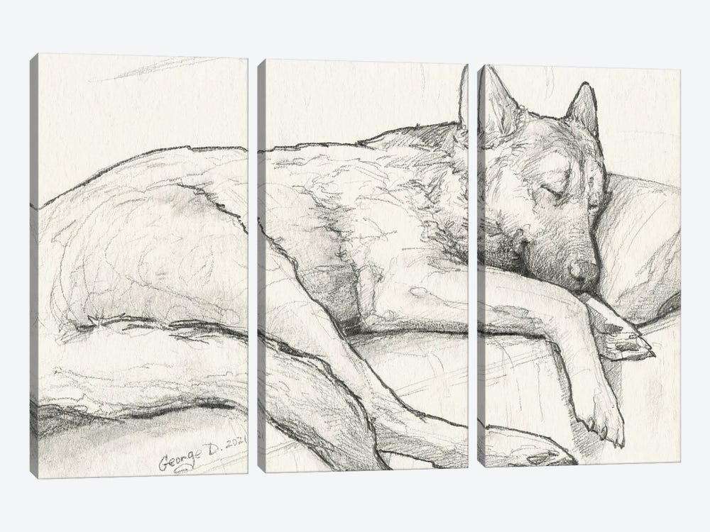 Sleeping German Shepherd Old Paper by George Dyachenko 3-piece Canvas Wall Art