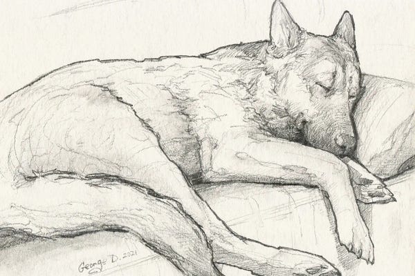 German Shepherds: Sleeping German Shepherd Old Paper by George Dyachenko