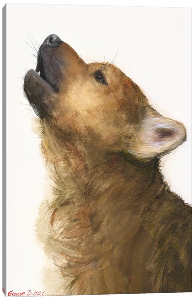 Wolf Puppy Canvas Art Print - George Dyachenko