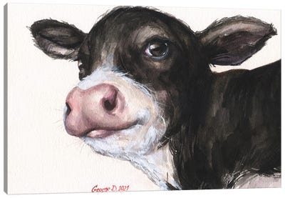 Black And White Calf Canvas Art Print - George Dyachenko