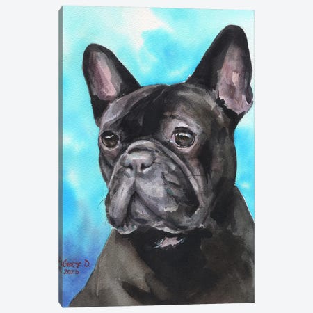 Black French Bulldog Canvas Print #GDY329} by George Dyachenko Canvas Art Print
