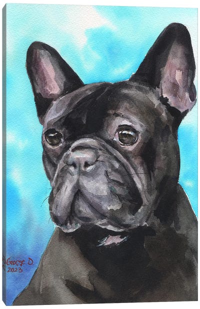 Black French Bulldog Canvas Art Print - George Dyachenko