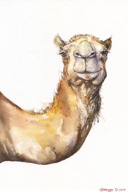 Camel by George Dyachenko wall art