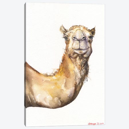 Camel Canvas Print #GDY32} by George Dyachenko Canvas Wall Art