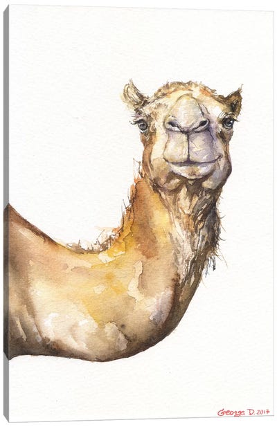 Camel Canvas Art Print - George Dyachenko