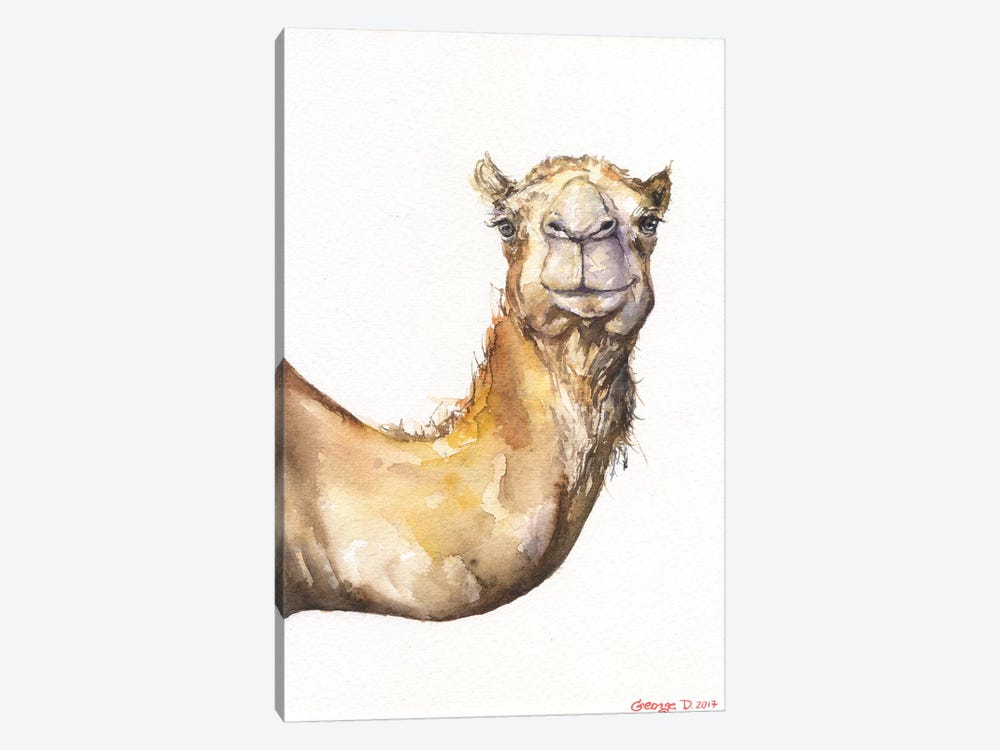 Camel by George Dyachenko 1-piece Canvas Art Print