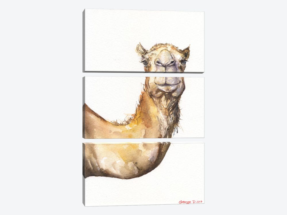 Camel by George Dyachenko 3-piece Art Print