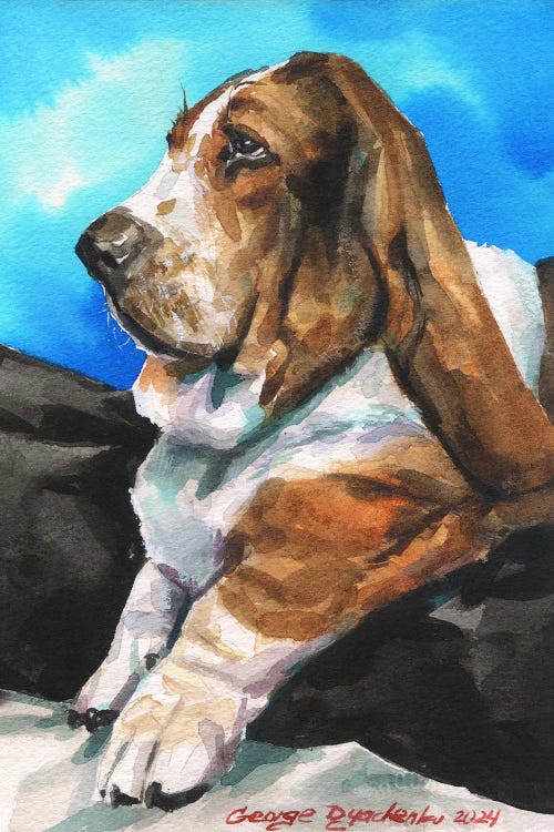 Serious Basset Hound by George Dyachenko wall art