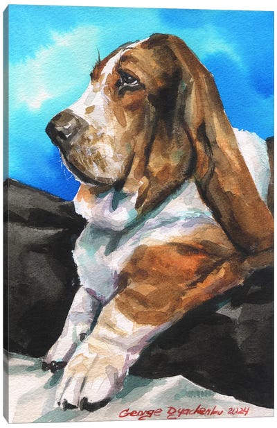 Serious Basset Hound Canvas Art Print - Basset Hound Art