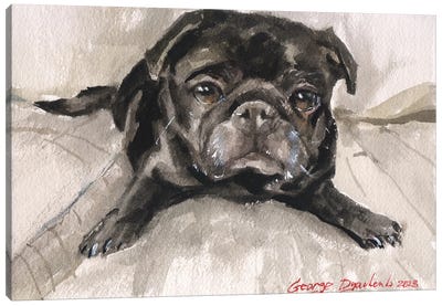 Black Pug On Sofa Canvas Art Print - George Dyachenko