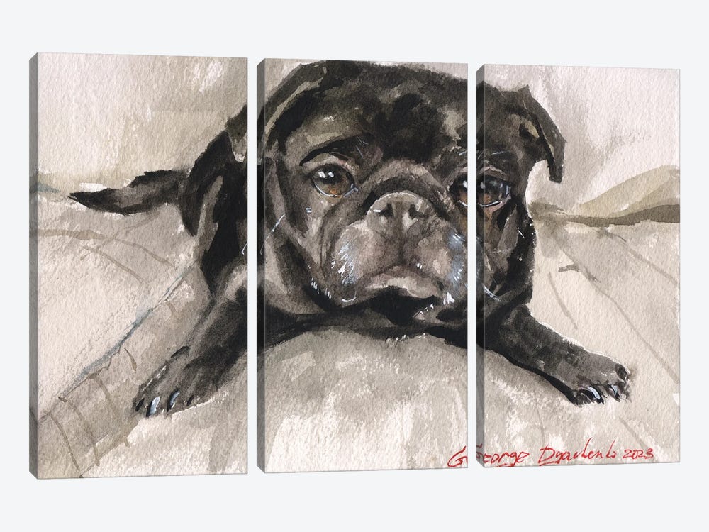 Black Pug On Sofa by George Dyachenko 3-piece Canvas Art Print