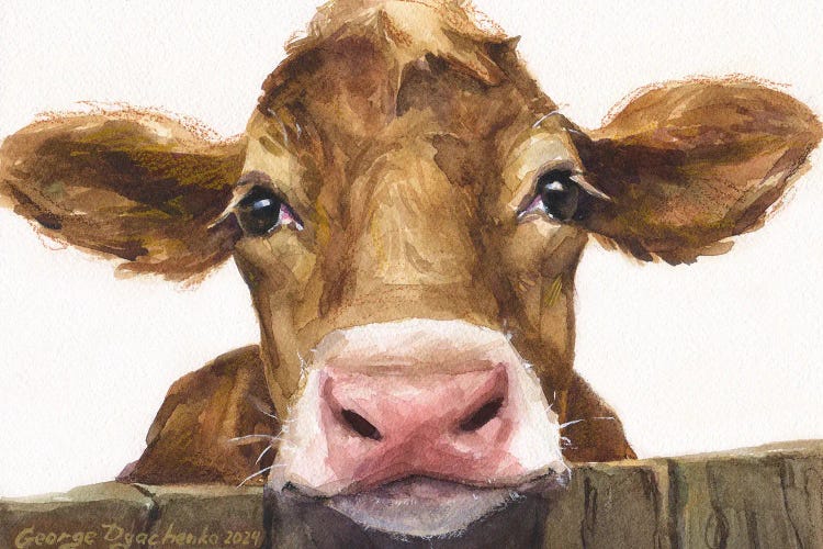 Cute Brown Calf