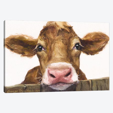 Cute Brown Calf Canvas Print #GDY335} by George Dyachenko Canvas Art Print