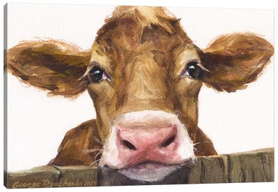 Cute Brown Calf Canvas Art Print - George Dyachenko