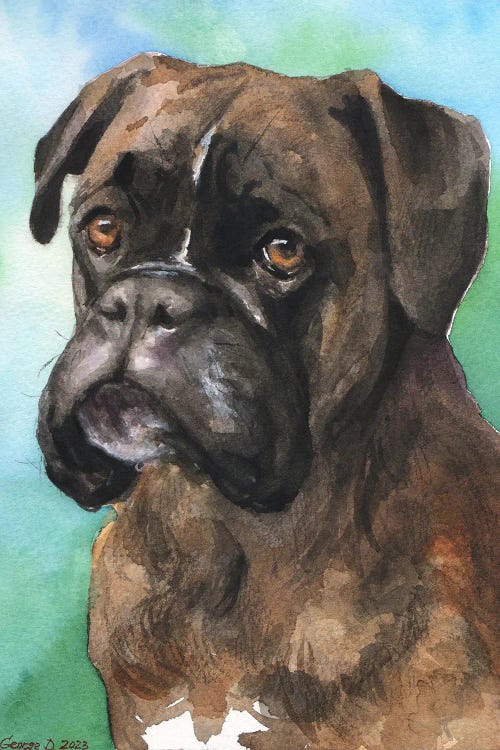 Boxer Cute Portrait by George Dyachenko wall art