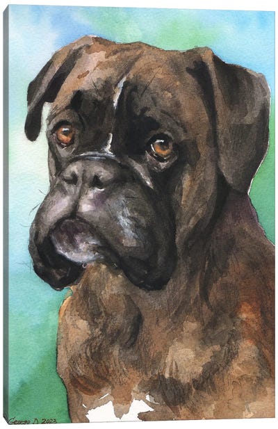 Boxer Cute Portrait Canvas Art Print - George Dyachenko