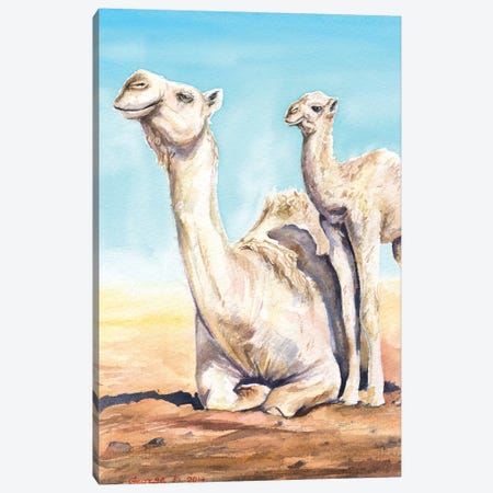 Camel & Calf Canvas Print #GDY33} by George Dyachenko Canvas Artwork