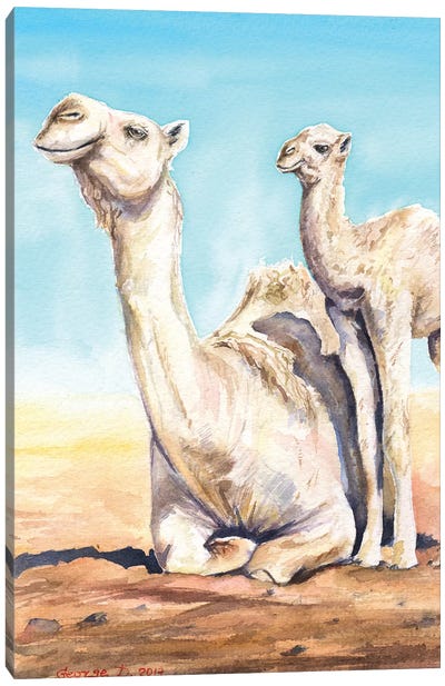Camel & Calf Canvas Art Print - Camel Art
