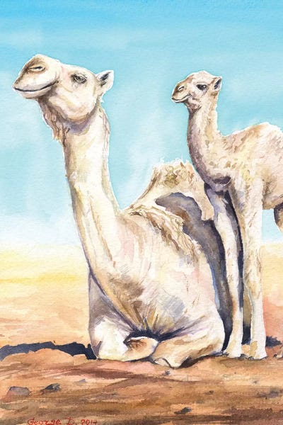 Camels: Camel & Calf by George Dyachenko