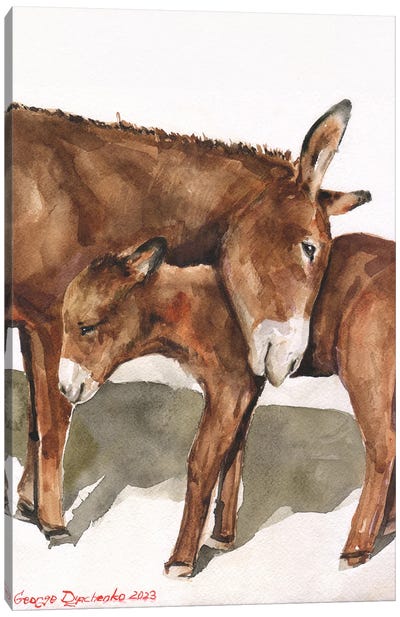 Donkey Mother And Her Baby Canvas Art Print - George Dyachenko