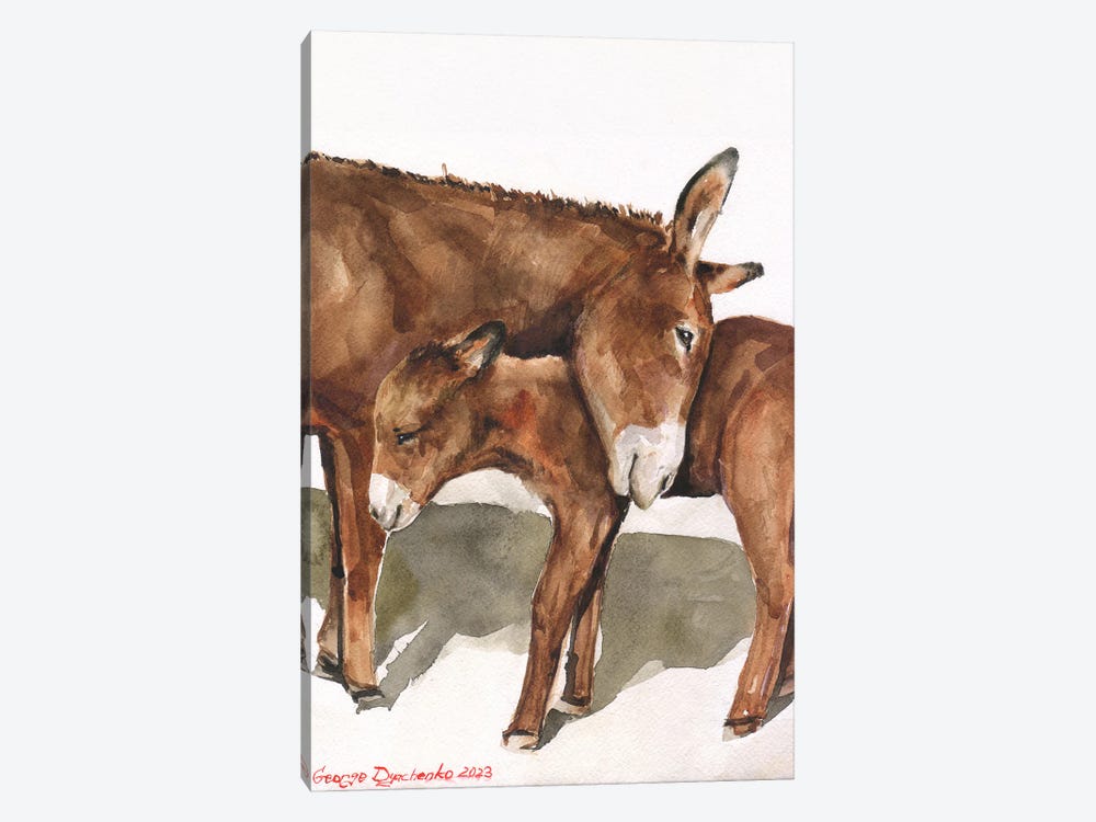 Donkey Mother And Her Baby by George Dyachenko 1-piece Canvas Print