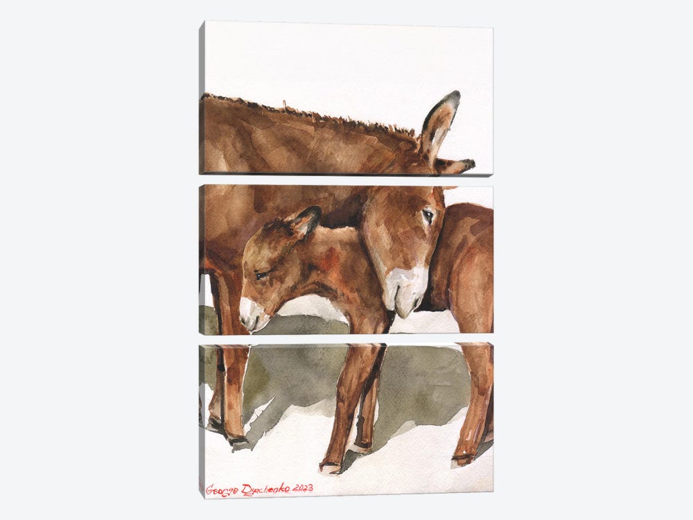 Donkey Mother And Her Baby by George Dyachenko 3-piece Art Print