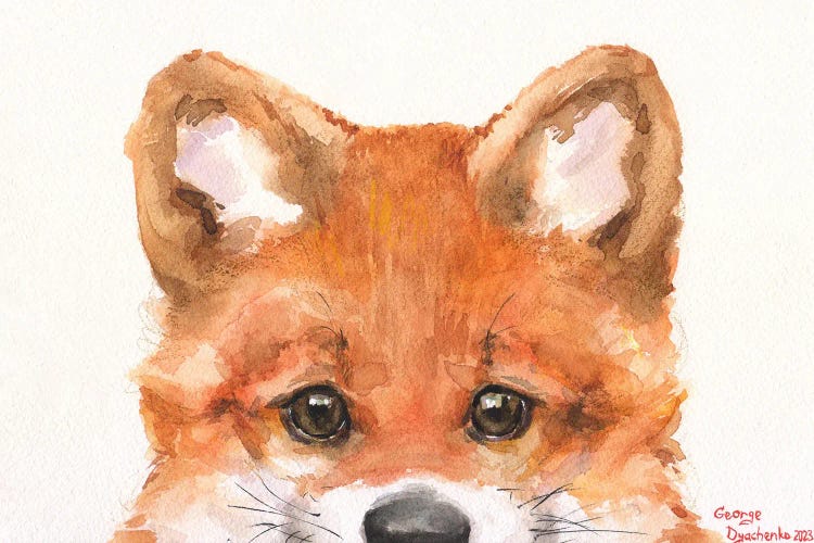 Little Fox