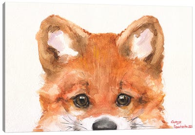 Little Fox Canvas Art Print - Fox Art