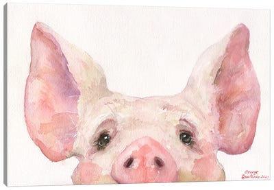 Little Piglet Canvas Art Print - Pig Art