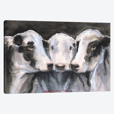 Three Cows Canvas Print #GDY347} by George Dyachenko Canvas Artwork