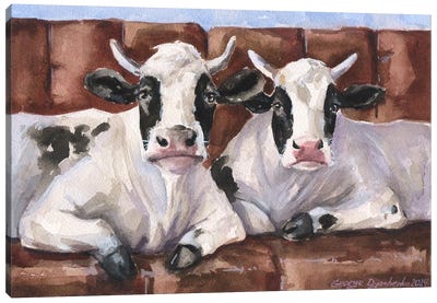 Two Cows On Sofa Canvas Art Print - George Dyachenko