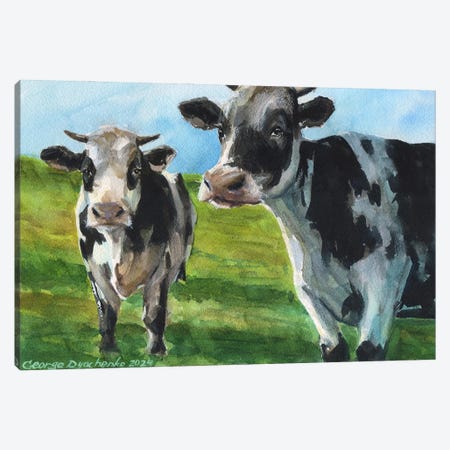 Two Cows On The Field Canvas Print #GDY349} by George Dyachenko Art Print
