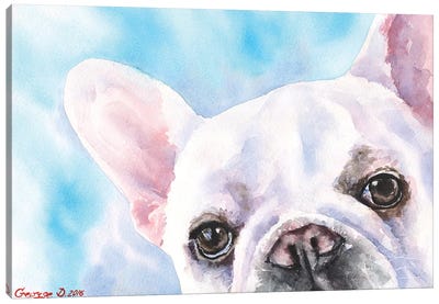 Can You Find Me Canvas Art Print - French Bulldog Art
