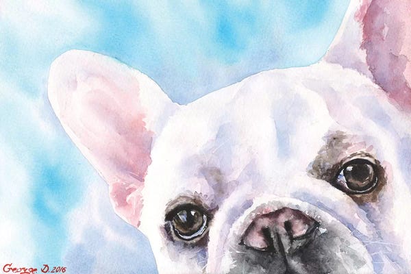 French Bulldogs: Can You Find Me by George Dyachenko
